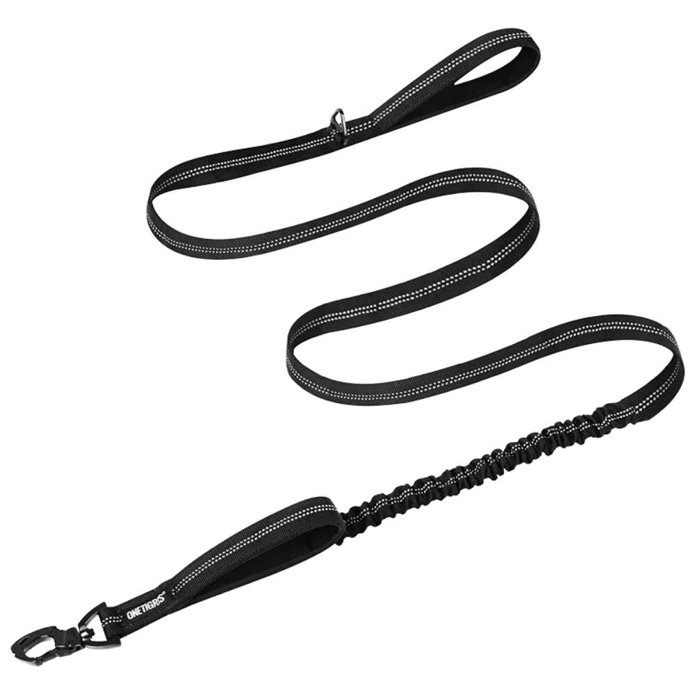 ONETIGRIS - Dog Leash 22