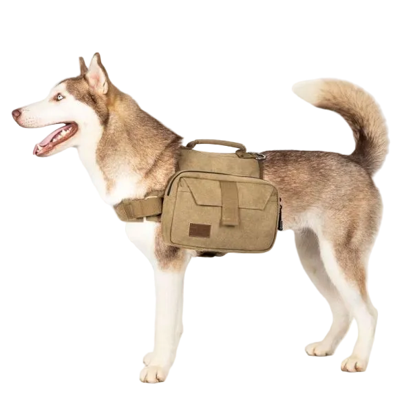 ONETIGRIS - Hoppy Camper Dog | Pack 2.0