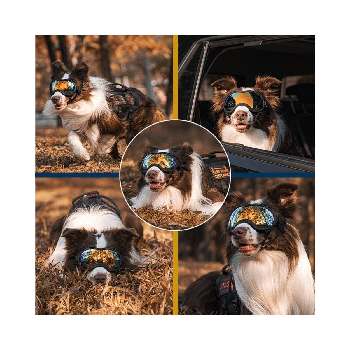 ONETIGRIS - Dog Goggles