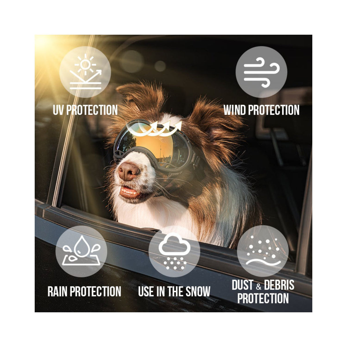 ONETIGRIS - Dog Goggles