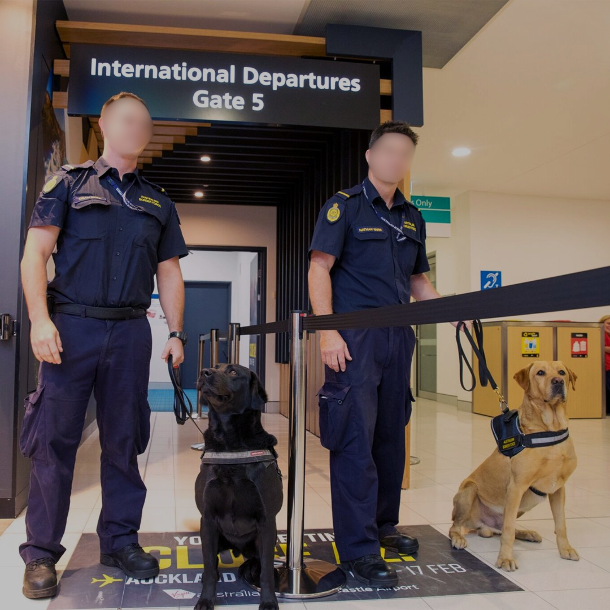 BORDER FORCE