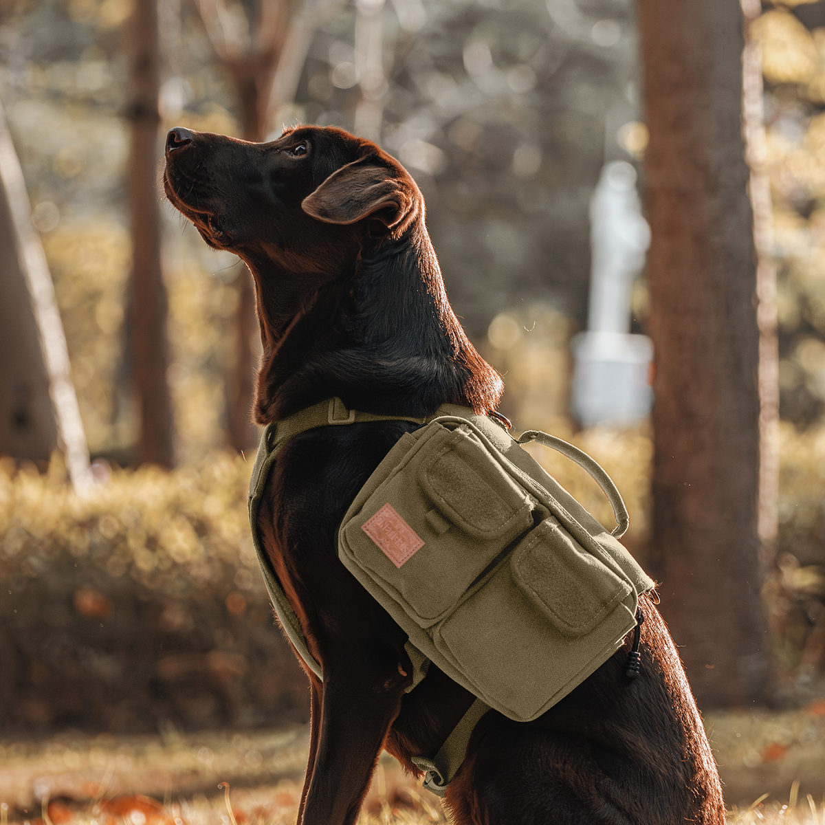 ONETIGRIS - Hoppy Camper Dog | Pack 3.0