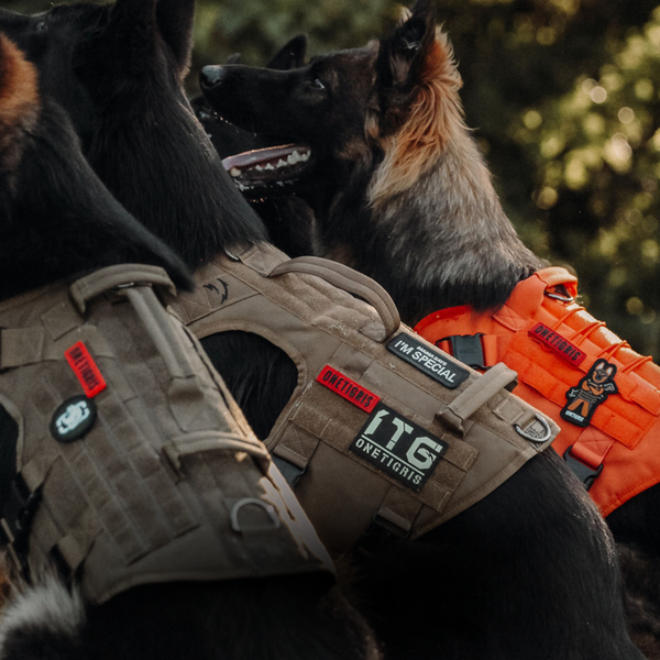 Tactical Dog Gear