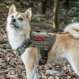 ONETIGRIS - Fire Watcher K9 Harness 2.0 | Metal Buckle