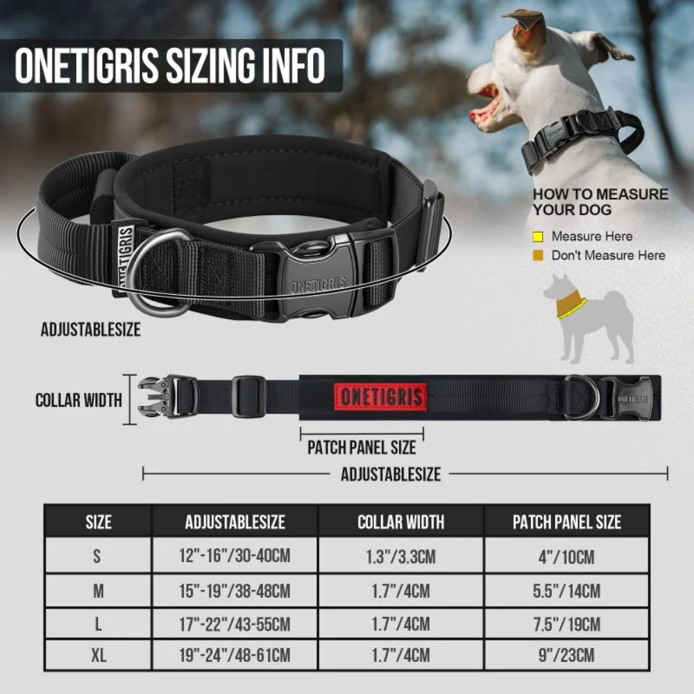 ONETIGRIS - Dog Collar 08