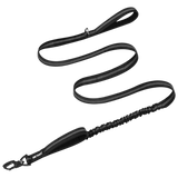 ONETIGRIS - Dog Leash 22