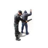 Fisher - CW20 Security | Hand-Held Metal Detector